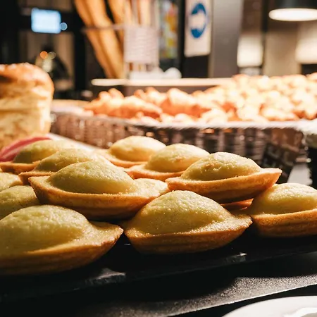 מלון Ibis Centre Rive Gauche Mermoz 3*